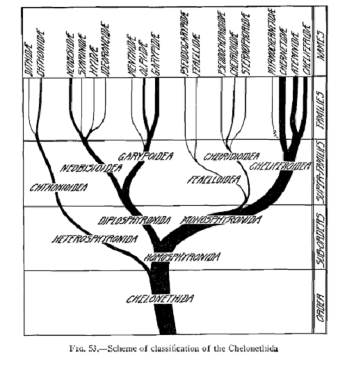 The scheme of classification proposed by Chamberlin 1931