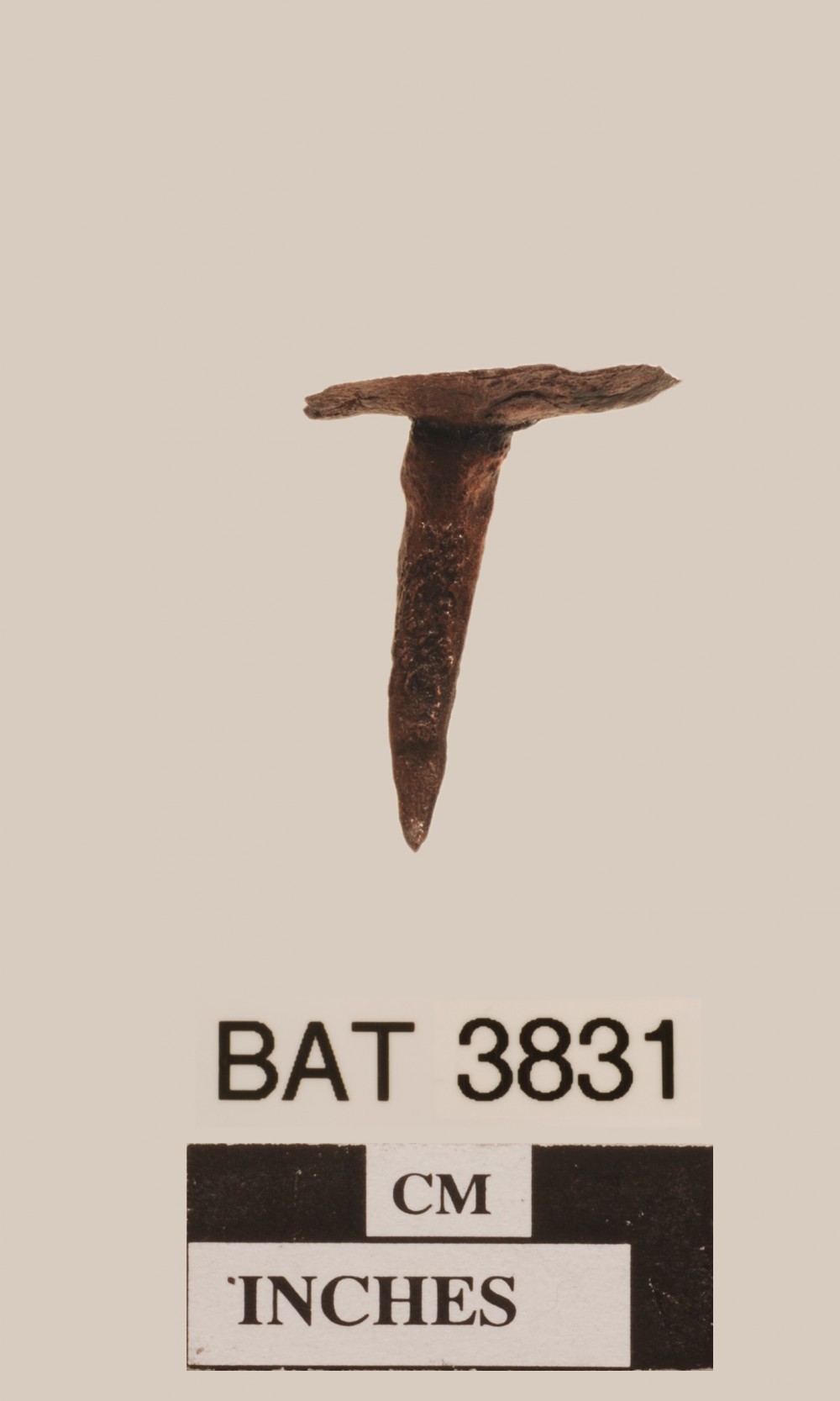 BAT3831 Copper/brass artefact recovered from Batavia