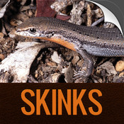 Skinks of the Perth Region