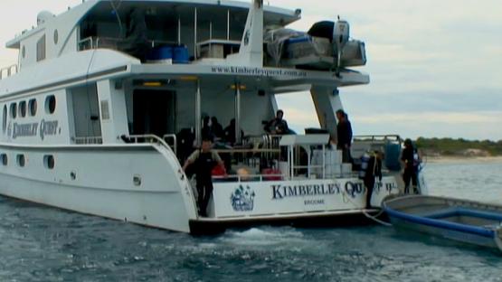 Marine Life of the Kimberley Region - Day 1 - Day 1 Video