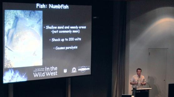 Spines, stings and shocks – Dangerous marine animals - Corey Whisson delivers his talk to an audience