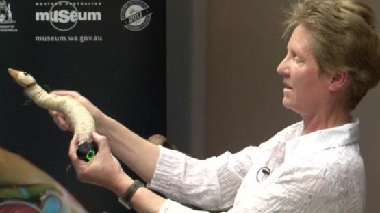 The Art and Science of Taxidermy - Kirsten Tullis demonstrating taxidermy techniques