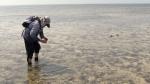 John Huisman with a shark swimming towards him  