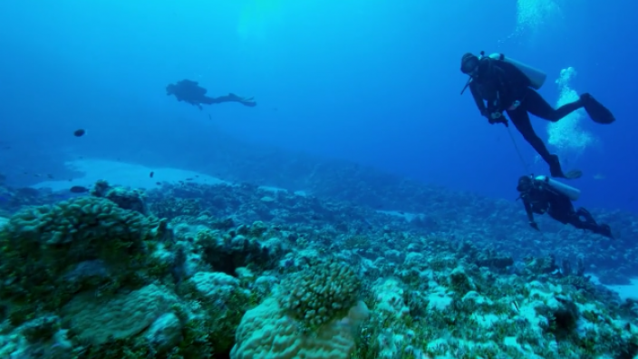 Diving at Bikini Atoll Diving at Bikini Atoll
