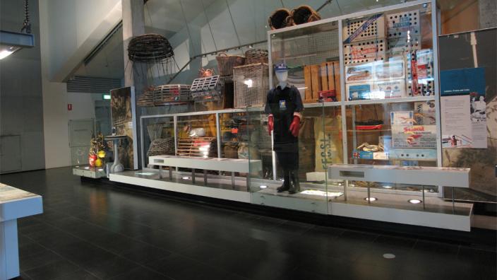 Image copyright of the Western Australian MuseumPhoto by Andrew Rowe