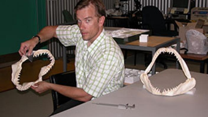 Dr Mikael Siversson - Photo from WA Museum Dr Mikael Siversson holding a large shark jaw