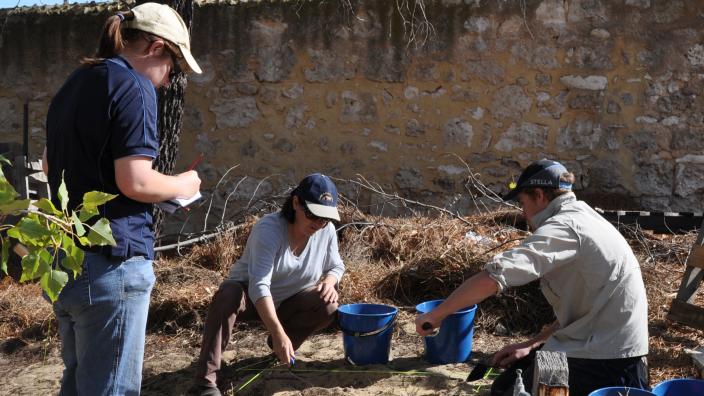 WA Museum archaeologist Alice Beale and her team excavating in Fremantle - Image copyright of WA Museum A group of people excavating an archaeological site