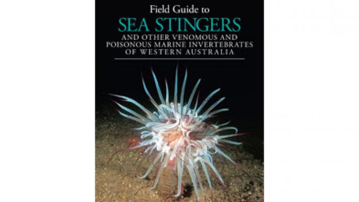 A Field Guide to Sea Stingers Image copyright of WA Museum Book cover produced by the WA Museum