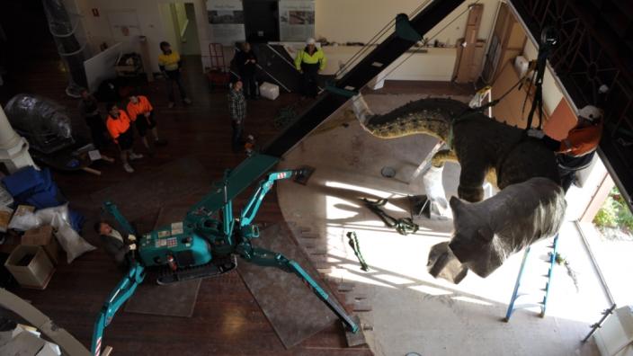 Moving the Carnotaurus from WA Land and People @ Perth