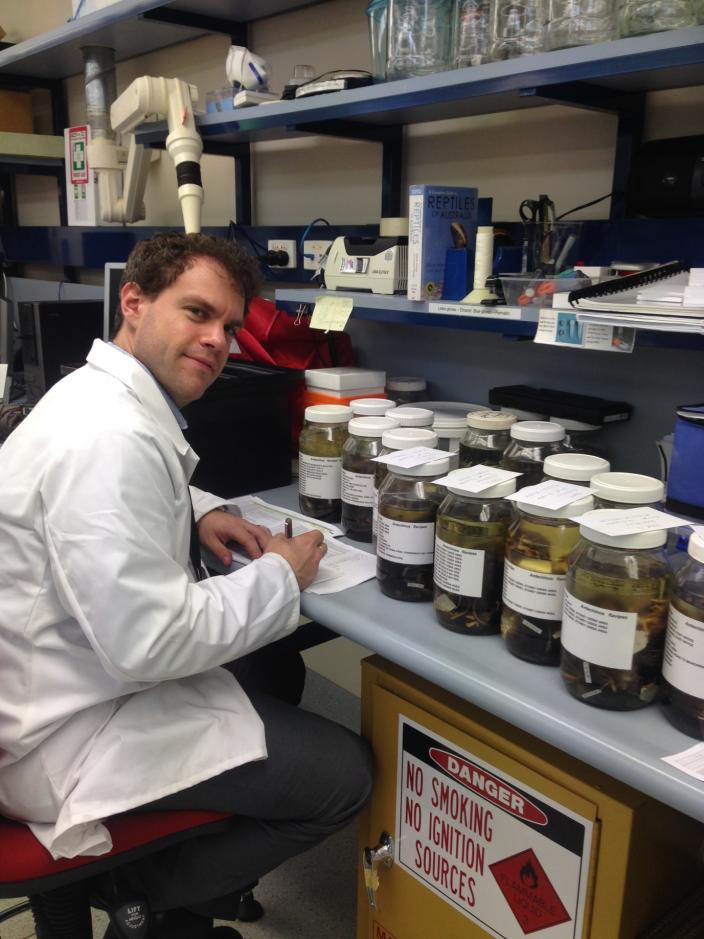 Mammal Curator Kenny Travouillon