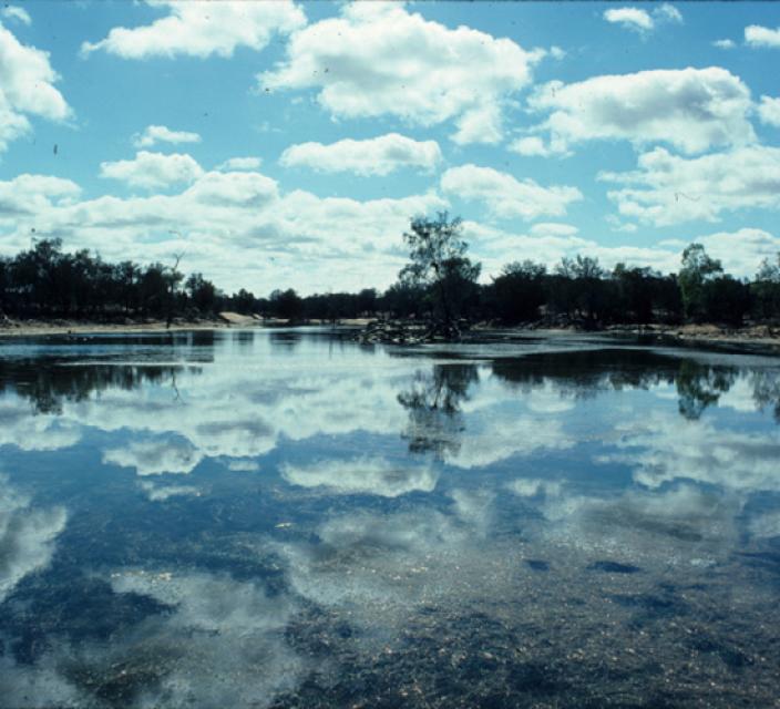 Large expanse of water with trees on the horizon