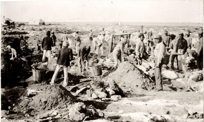 Guano Collection Mining scene from the late 1800s
