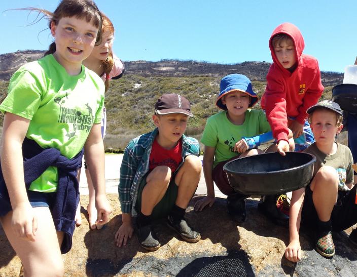 Young Naturalists Club A group of children on a beach