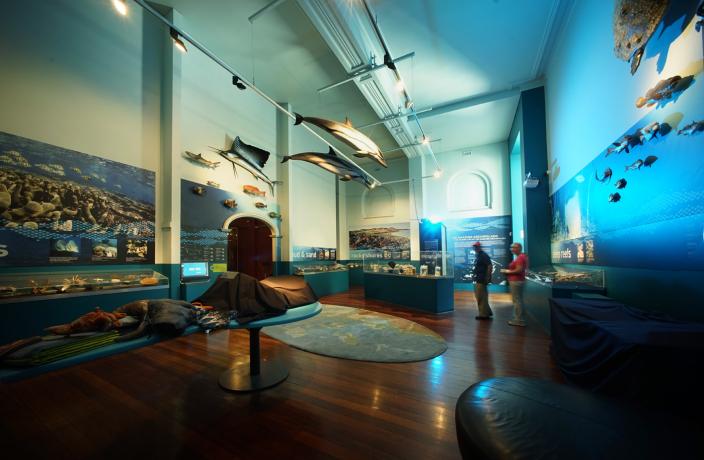 The Dampier Marine Gallery - before the decant The Dampier Marine Gallery - before the decant