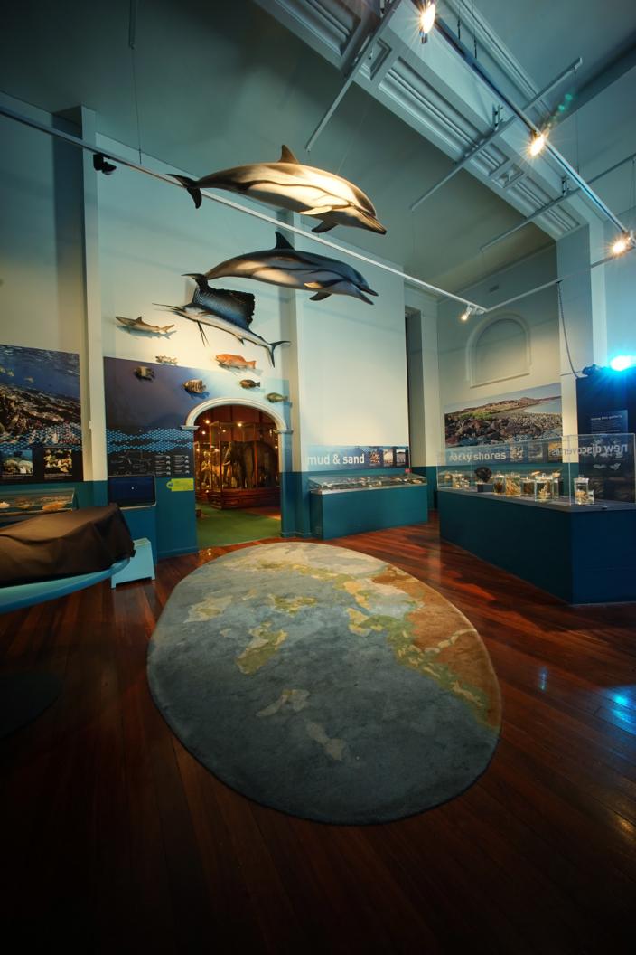 The Dampier Marine Gallery - before the decant The Dampier Marine Gallery - before the decant