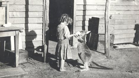 'Girlie' Rath feeding a kangaroo outside her home, Harvey Irrigation Scheme