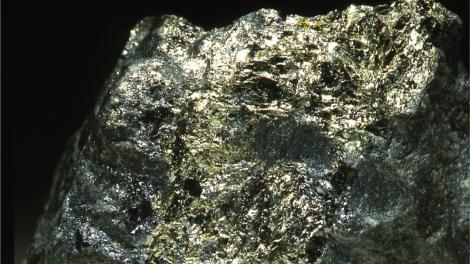 Image copyright of WA Museum