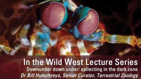 Image copyright of WA Museum