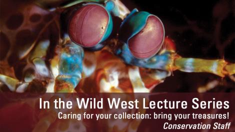 Image copyright of WA Museum