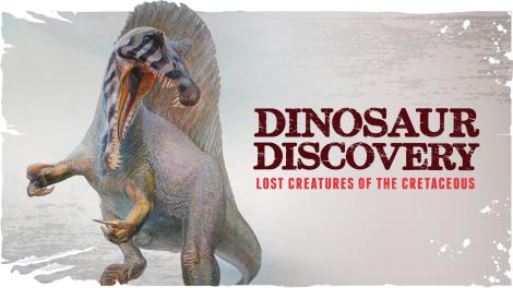 Dinosaur Discovery - Image copyright WA Museum Dinosaur Discovery: Lost Creatures of the Cretaceous