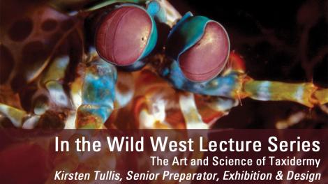 Image copyright of WA Museum