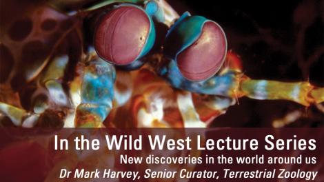 Image copyright of WA Museum