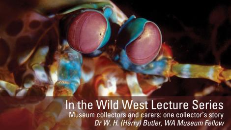 Image copyright of WA Museum