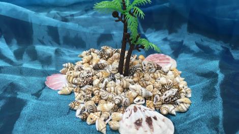 Caption: Sail into the South Pacific these school holidays at the Museum of the Great Southern. "A blue velour background with an isolated island made of seashells centred."