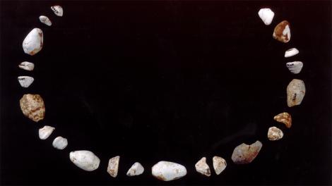 32,000 year old shell beads from the Exmouth area - Image copyright WA Museum Shell beads assembled to demonstrate a necklace formation