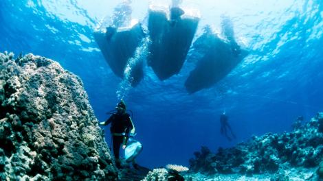 Divers of Scott Reef - Image copyright of the Western Australian Museum A series of divers jumping into the ocean