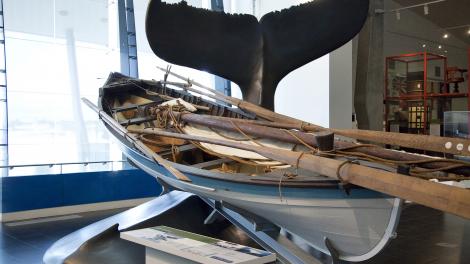 Whaling - Image copyright WA Museum Whaling boat with Whale tail coming up through the floor of the museum