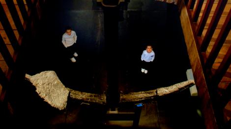 Shipwreck Anchor - Image copyright of the Western Australian Museum Aerial view of an anchor, with a child standing beneath