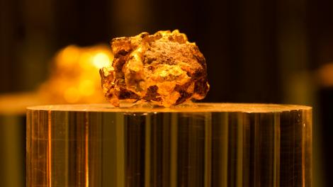 Image copyright of the Western Australian Museum