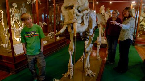 Image copyright of the Western Australian Museum