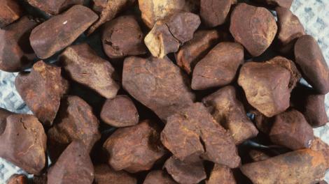 Nullarbor meteorites - Image copyright of WA Museum A pile of meteorites collected from the Nullarbor plain