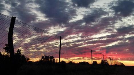 Image copyright of WA Museum Photo by Geoff Deacon Desert Fireball Networking - fence line at sunset