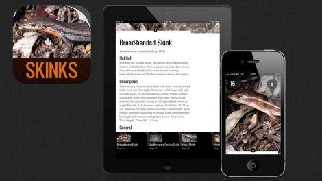 Skinks of the Perth Region - Image copyright of WA Museum Image illustrating the iPhone app: Skinks of the Perth Region
