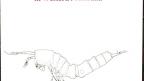 Supplement 70: Subterranean Copepods Supplement 70: Subterranean Copepods