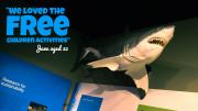 Shark hanging from the ceiling inside the WA Museum Albany