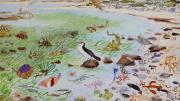 - Biodiversity painting by the Geraldton Primary School with Angela Rossen in an Environmental Science Art Workshop.