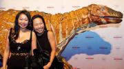 Last Night at the Museum - June 2016 Last Night at the Museum - June 2016