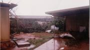 A backyard after Cyclone Vance, the ground is wet and muddy and debris from trees and plants lay in the background