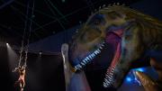 Lost World Event 2017 - Foundation for the WA Museum. Lost World Event 2017 - Foundation for the WA Museum.