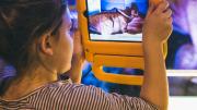Dinosaur Discovery: Lost Creatures of the Cretaceous - Perth 2014 A child looks through a digital tablet screen that is scanning the dinosaur stood in front of her and telling her fun facts.