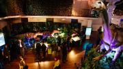 Dinosaur Discovery: Lost Creatures of the Cretaceous - Perth 2014