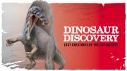 Dinosaur Discovery - Image copyright WA Museum Dinosaur Discovery: Lost Creatures of the Cretaceous
