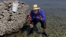 Merrick Ekins holding a sea star, crouching up to his ankles in water on a reef  