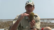 Clay Bryce holding Baler Shell eggs sack  