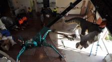 Moving the Carnotaurus from WA Land and People @ Perth Image copyright of WA Museum Photo by Kirsten Tullis