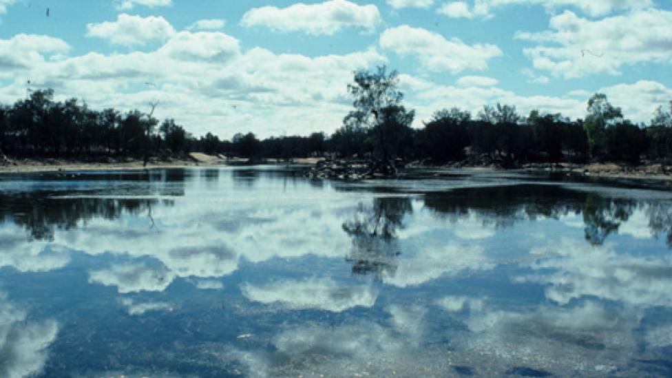 Large expanse of water with trees on the horizon